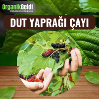Dut Yaprağı Çayı